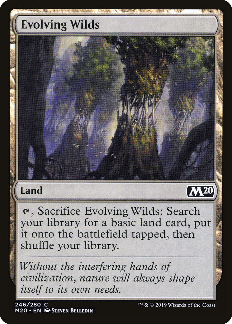 Evolving Wilds (M20-246) - Core Set 2020 Foil