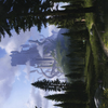 Forest // Forest (AAFR-061) - Adventures in the Forgotten Realms Art Series (Borderless)