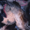 Mila, Crafty Companion // Mila, Crafty Companion (ASTX-034) - Strixhaven Art Series (Borderless)