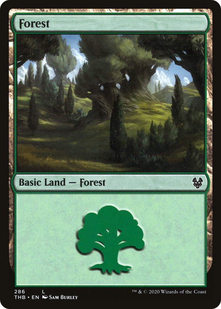 Forest (286) (THB-286) - Theros Beyond Death Foil