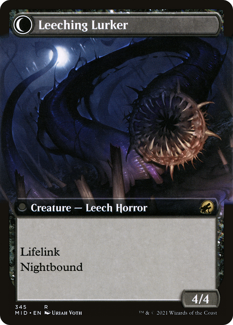 Curse of Leeches (Extended Art) (MID-345) - Innistrad: Midnight Hunt: (Extended Art, Double Faced Transform) Foil