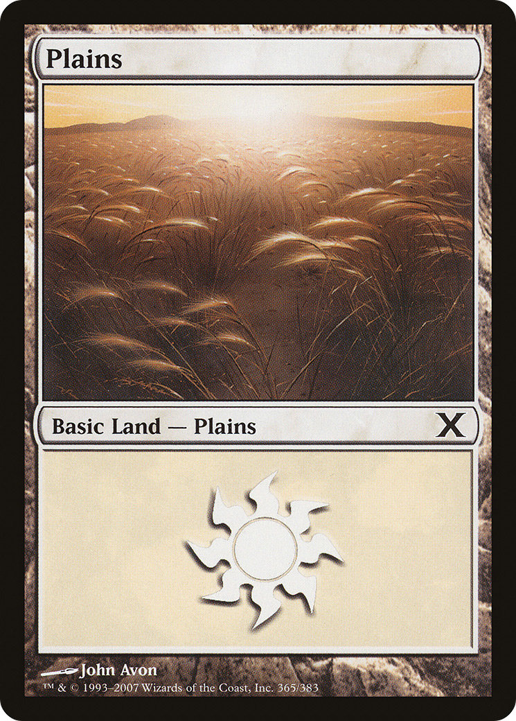 Plains (365) (10E-365) - Tenth Edition Foil