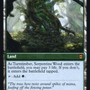 Turntimber Symbiosis (PRE-215) - Zendikar Rising Promos Foil