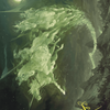 Moonshaker Cavalry // Moonshaker Cavalry (AWOE-005) - Wilds of Eldraine Art Series (Borderless) Foil