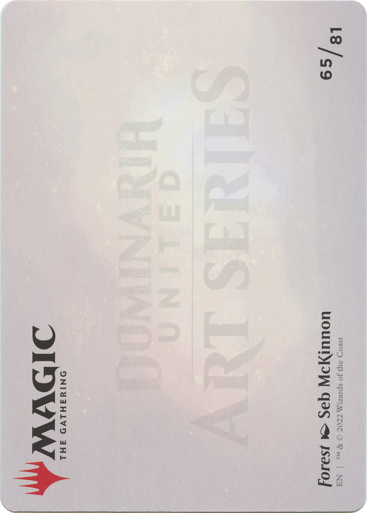 Forest // Forest (ADMU-065) - Dominaria United Art Series (Borderless)