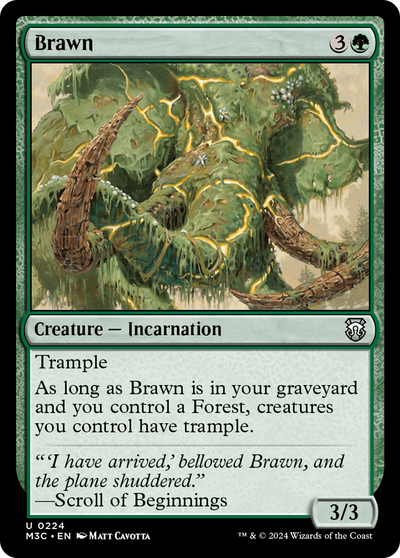 Brawn (M3C-224) - Modern Horizons 3 Commander Foil