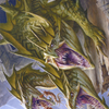 Grakmaw, Skyclave Ravager // Grakmaw, Skyclave Ravager (AZNR-076) - Zendikar Rising Art Series (Borderless)