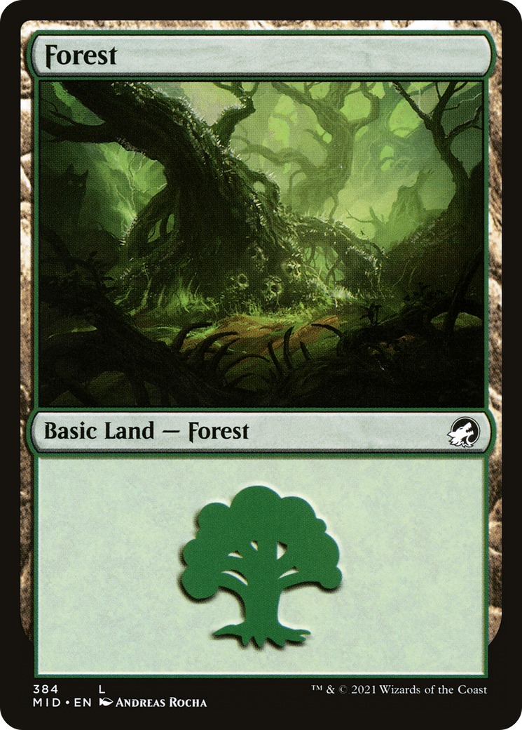 Forest (384) (MID-384) - Innistrad: Midnight Hunt Foil