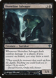 Shoreline Salvager (LIST-67/145) - The List