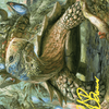 Blossoming Tortoise // Blossoming Tortoise (AWOE-024) - Wilds of Eldraine Art Series (Borderless) Foil