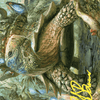 Blossoming Tortoise // Blossoming Tortoise (AWOE-024) - Wilds of Eldraine Art Series (Borderless)