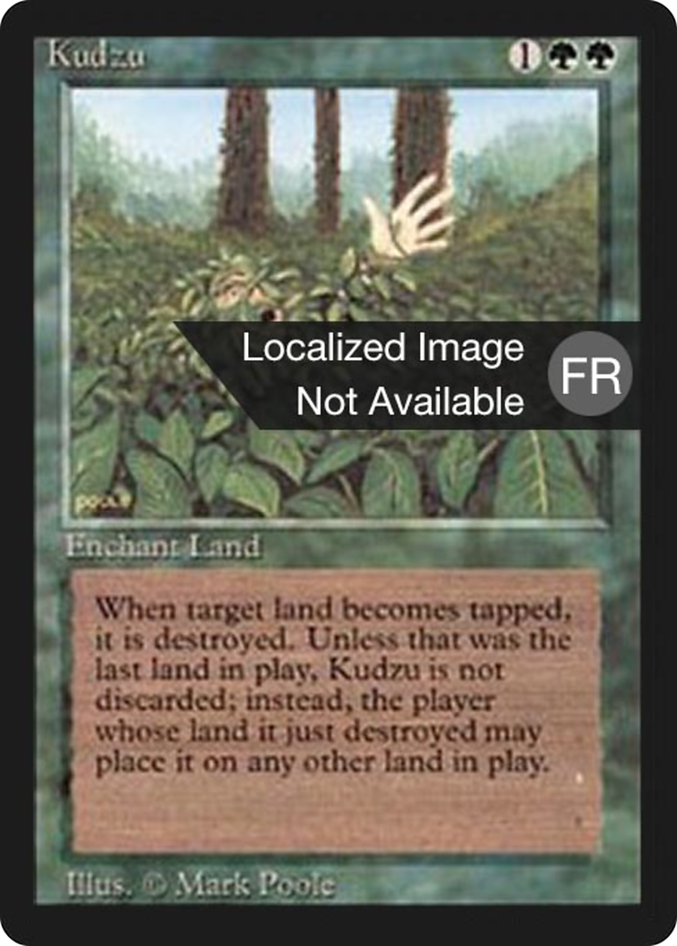 Kudzu (FBB-) - Foreign Black Border