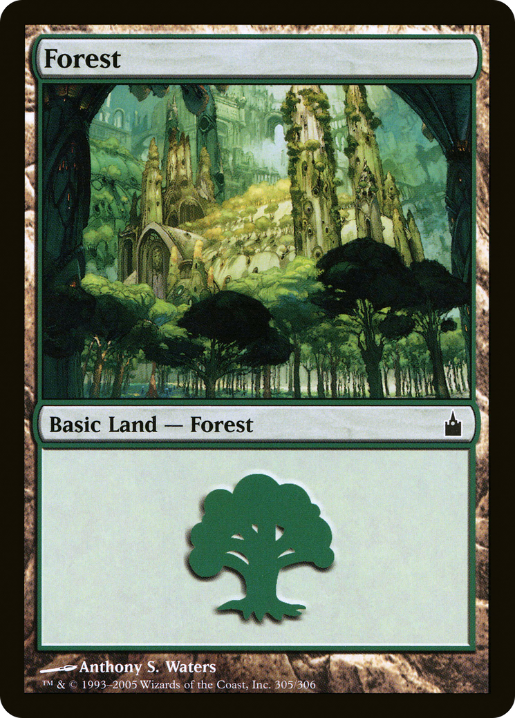 Forest (305) (RAV-305) - Ravnica: City of Guilds Foil