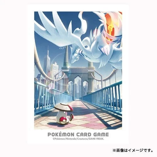 Card Sleeves - Unova Adventures Reshiram & Amoonguss (64-Pack)