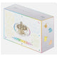 Pokémon TCG: Terastal Gathering - Eevee & Friends Exclusive Gift Box (Official Chinese Product)